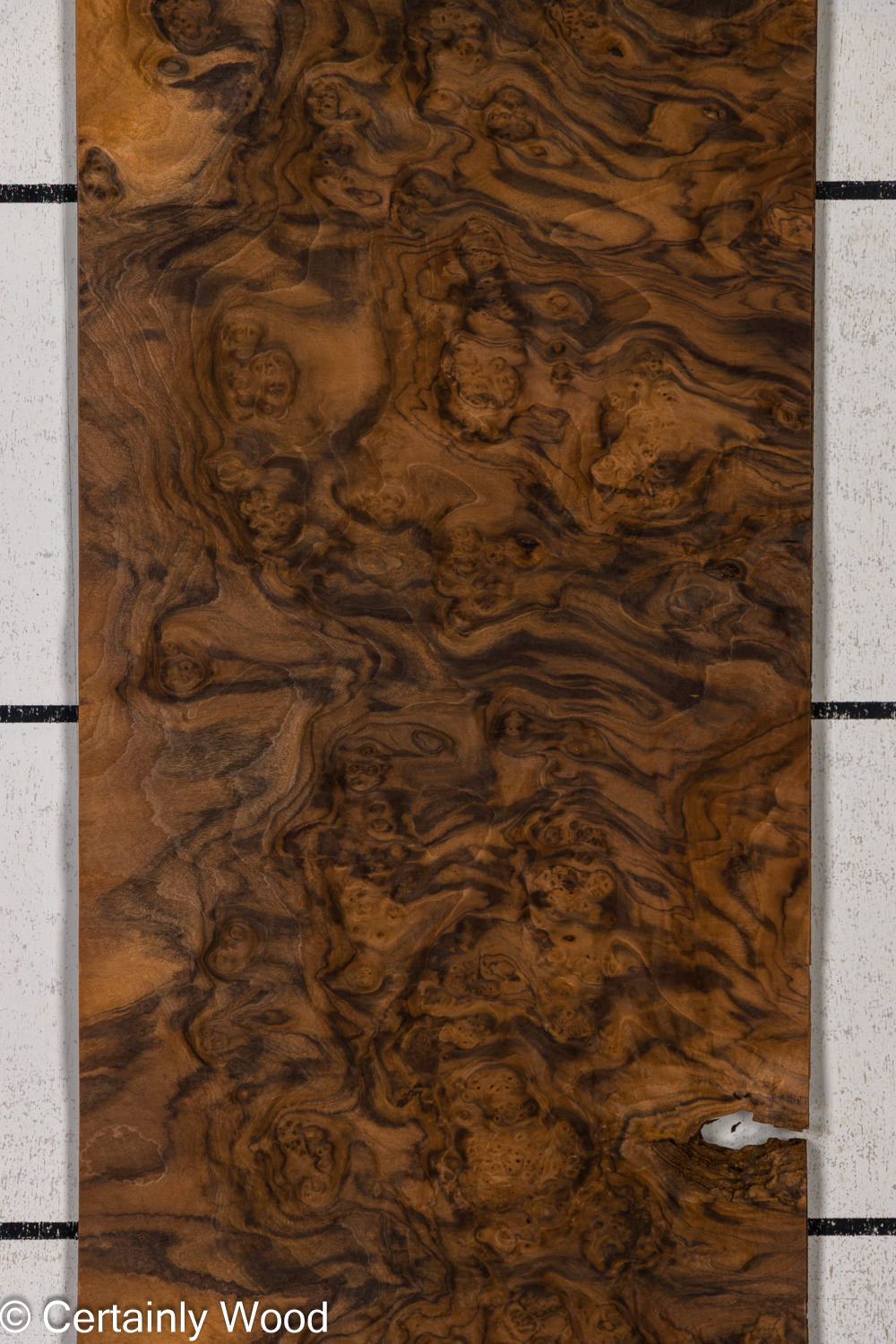 Featured Product Image