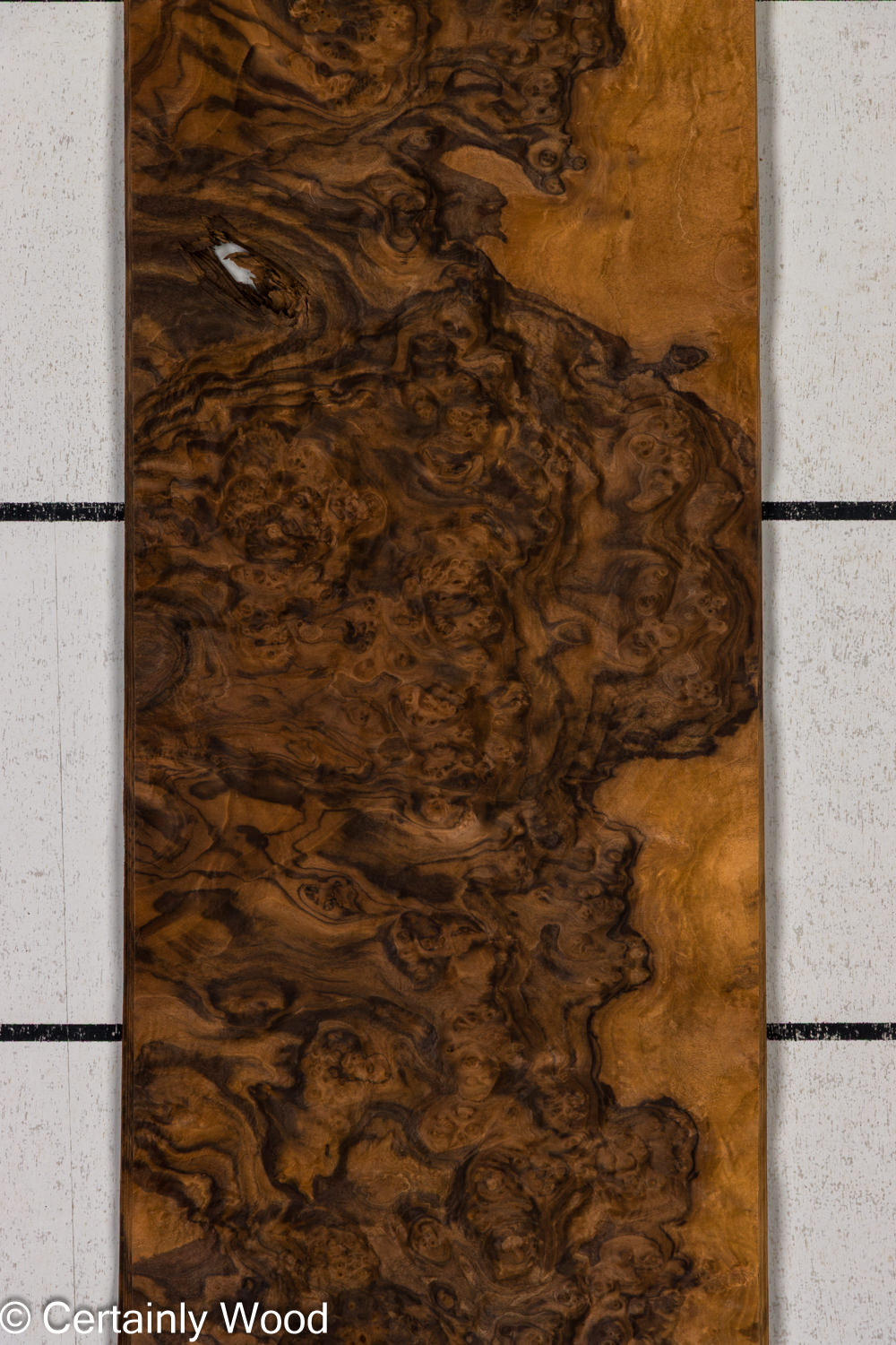 Featured Product Image