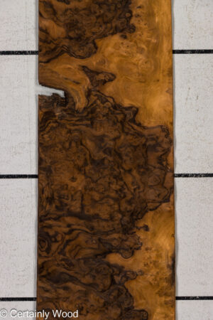 WAL BURL 26010-2C