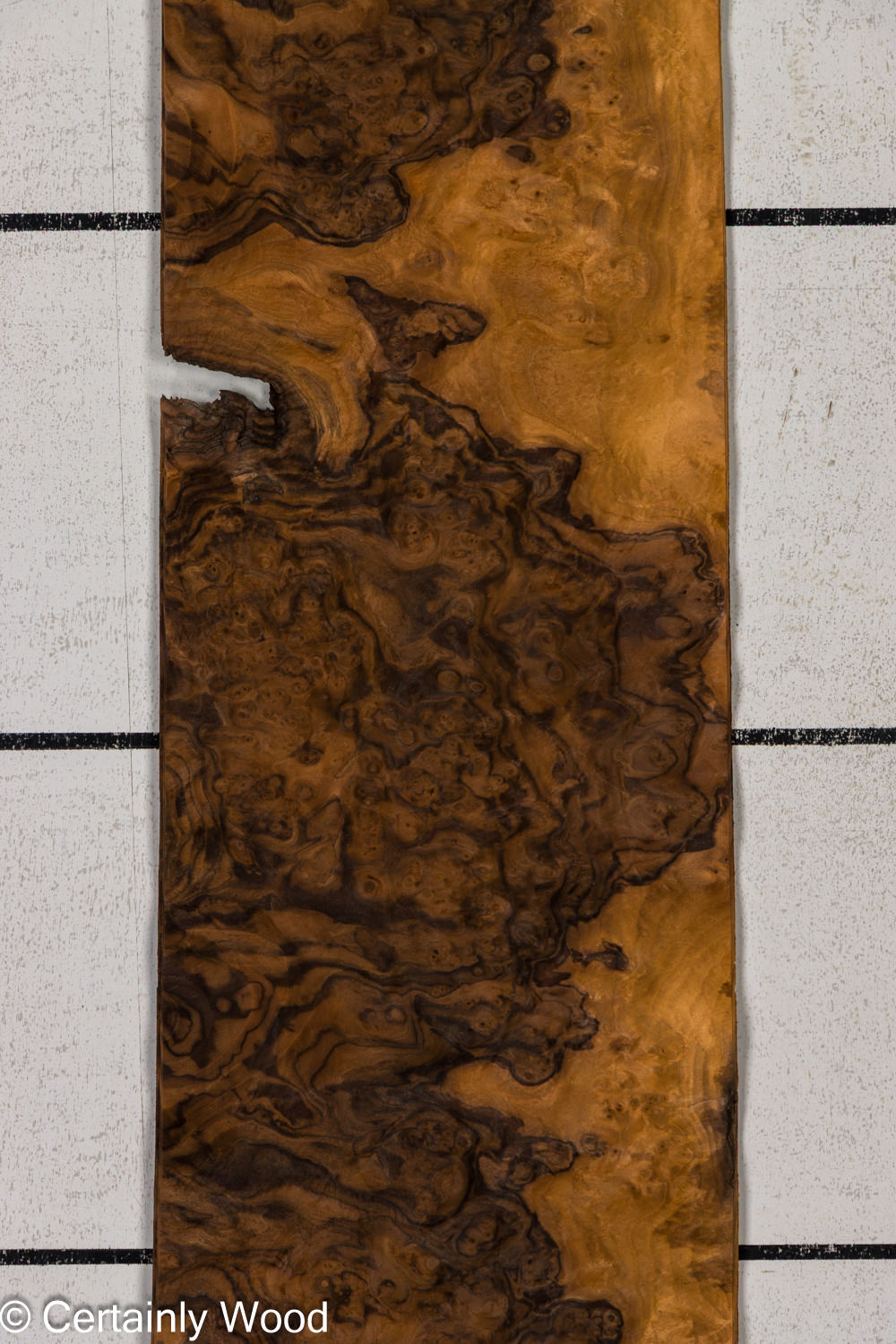 Featured Product Image