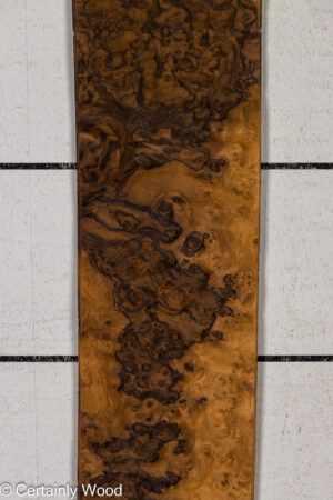WAL BURL 26010-2D