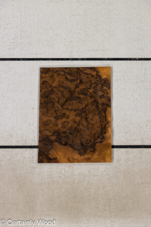 WAL BURL 26010-2F