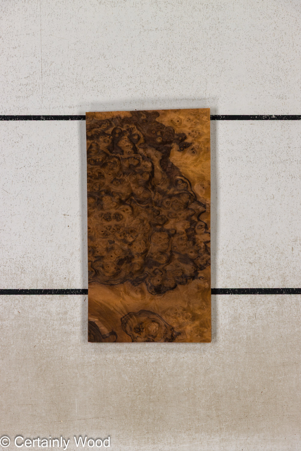 Featured Product Image