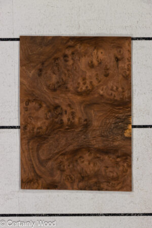 WAL BURL 26010-3C