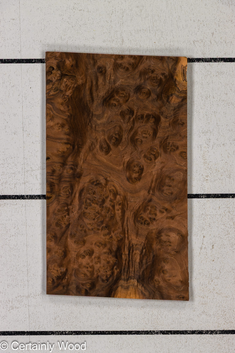 Featured Product Image