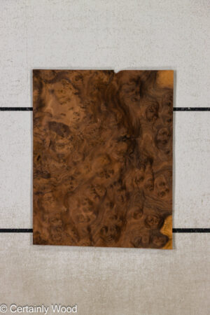 WAL BURL 26010-5A
