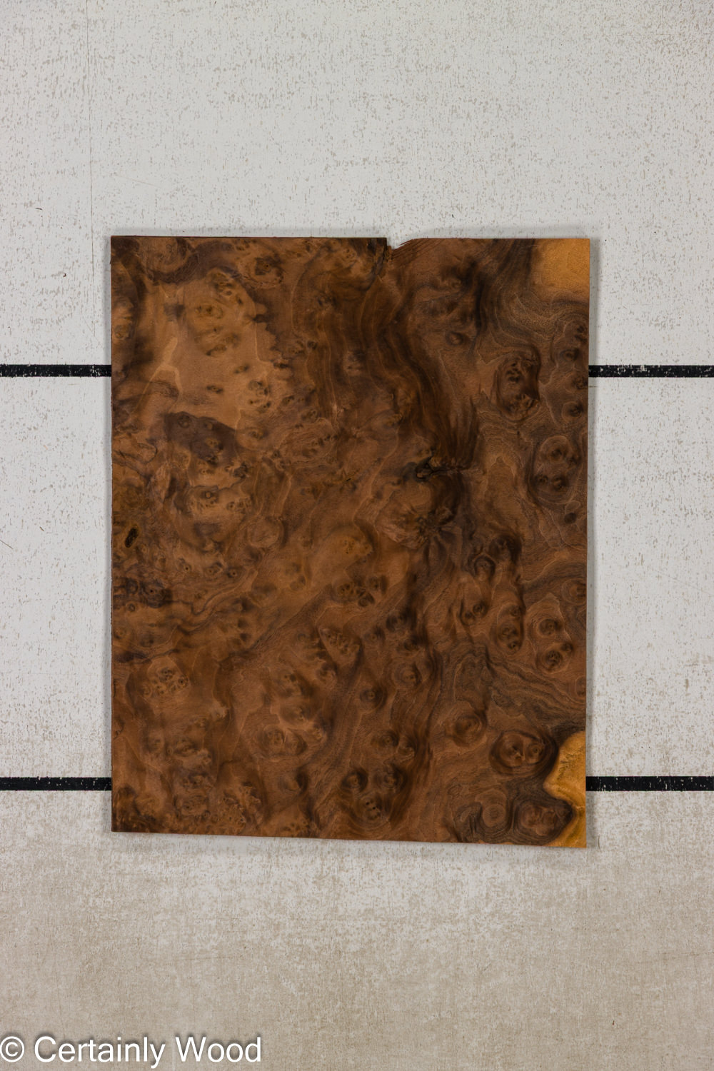 Featured Product Image