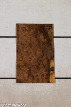 WAL BURL 26010-5B