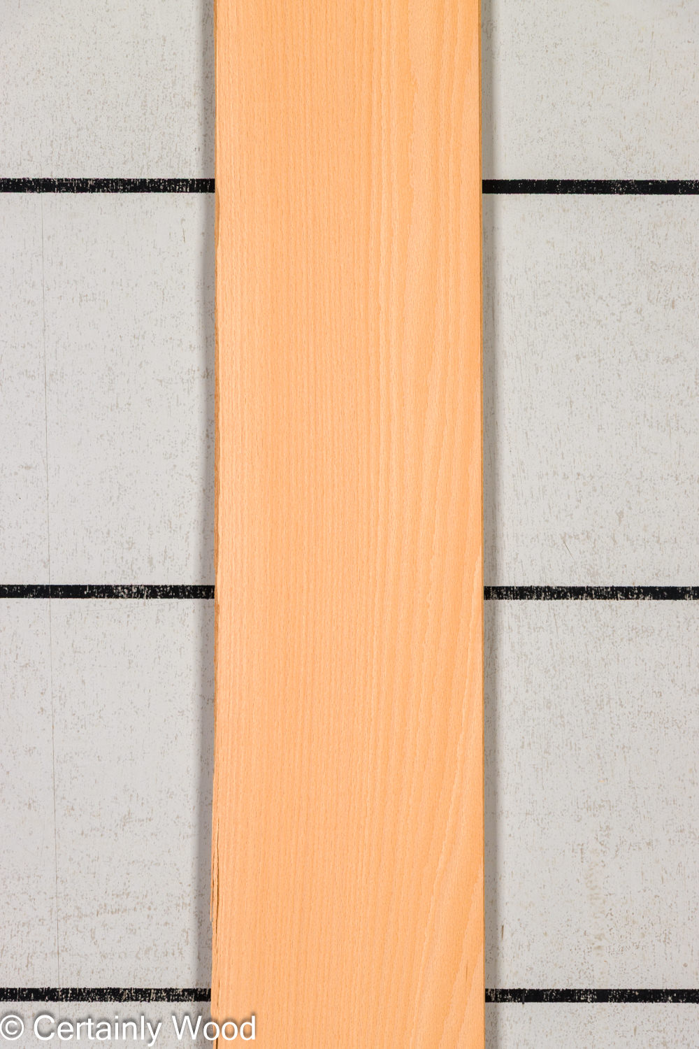 Featured Product Image