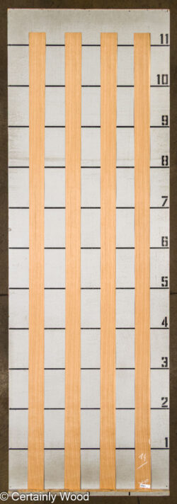 WS_RF_EU_W_OAK_26081-1C_2