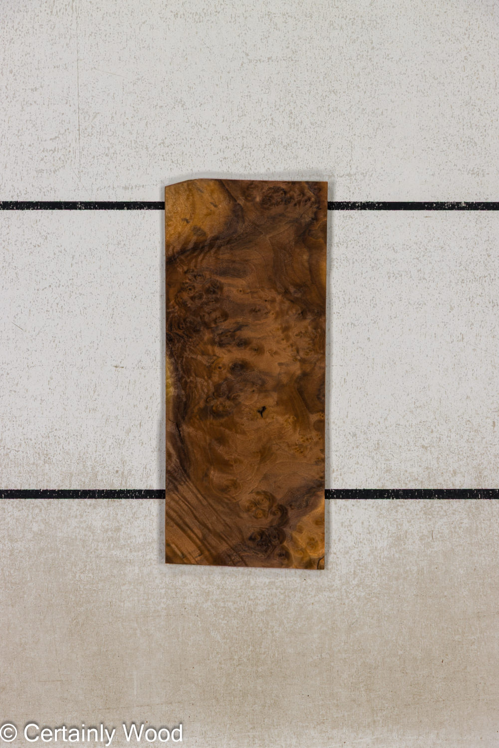 Featured Product Image