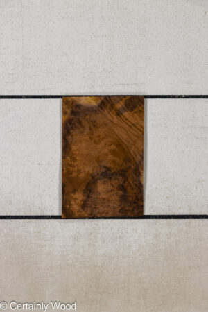 WS WAL BURL 26008-4