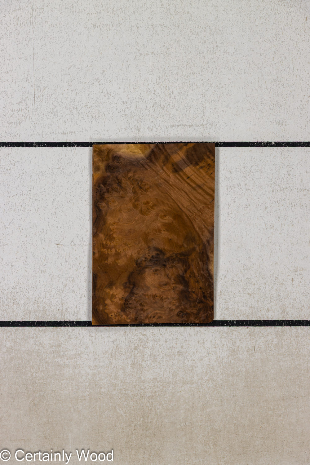 Featured Product Image