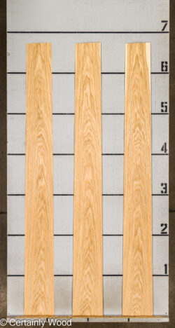 W_OAK_26107-2B_2