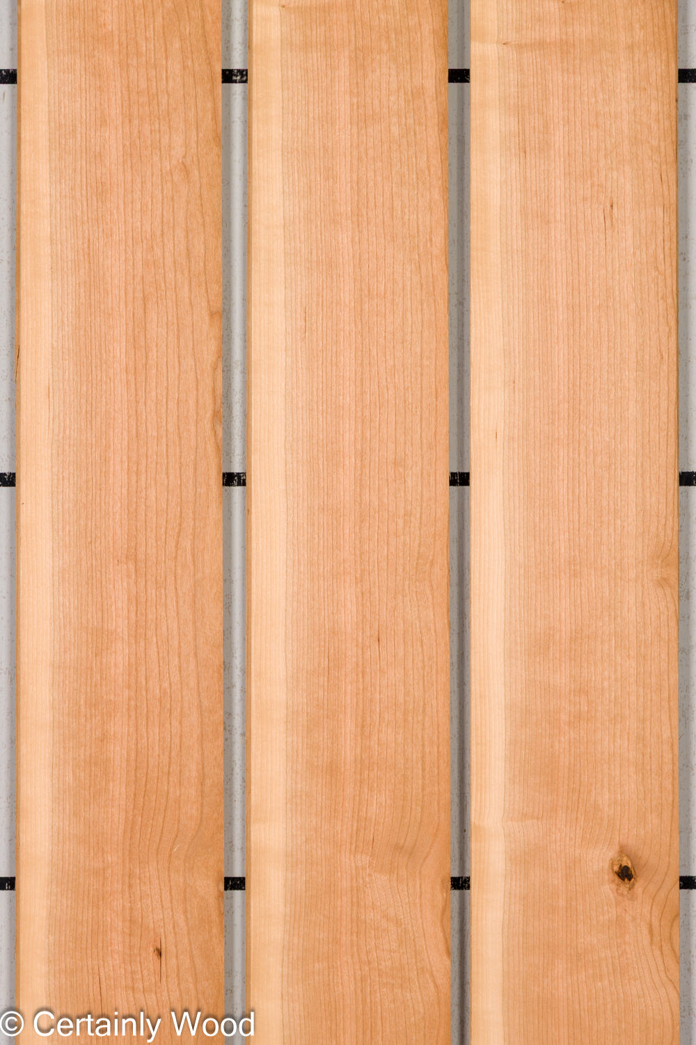 Featured Product Image