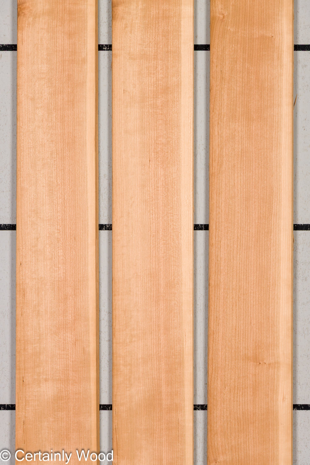 Featured Product Image
