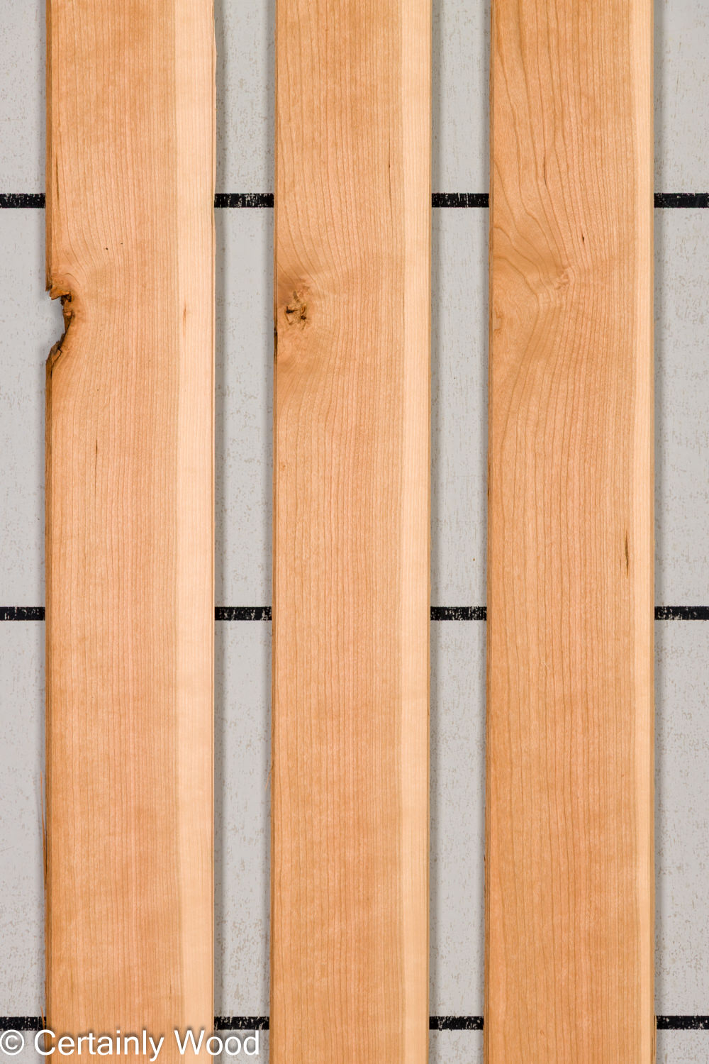 Featured Product Image