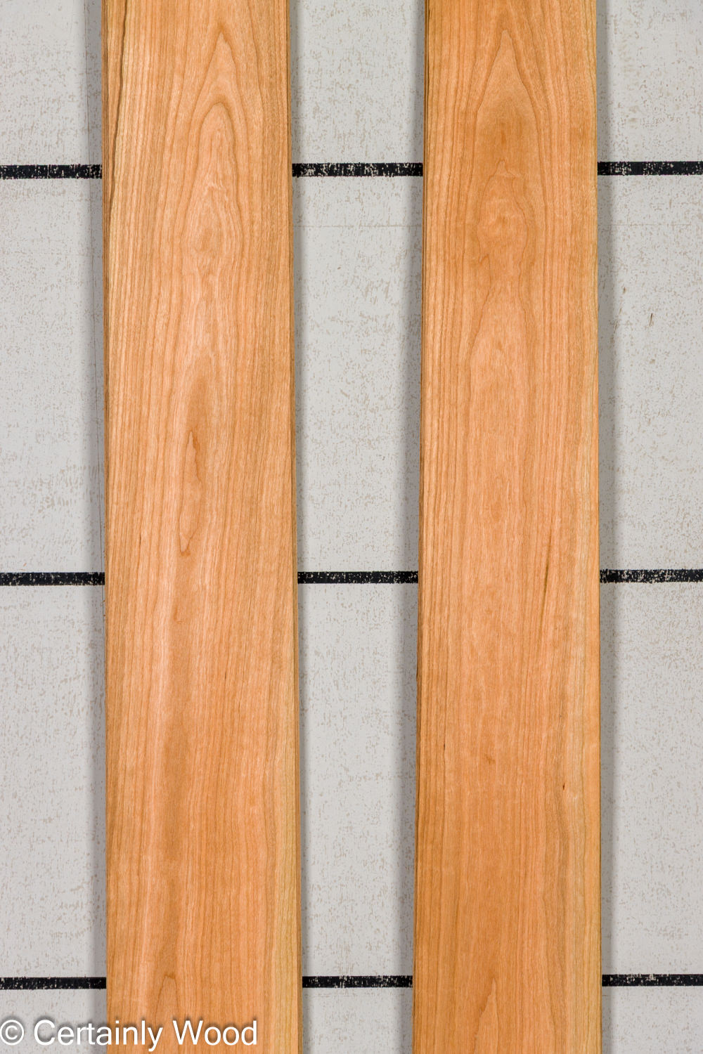 Featured Product Image