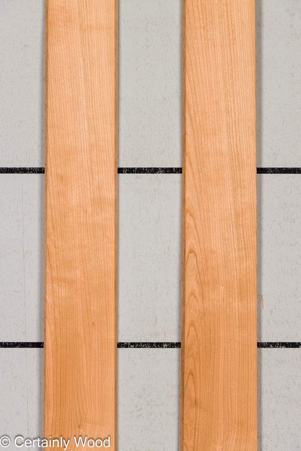Featured Product Image