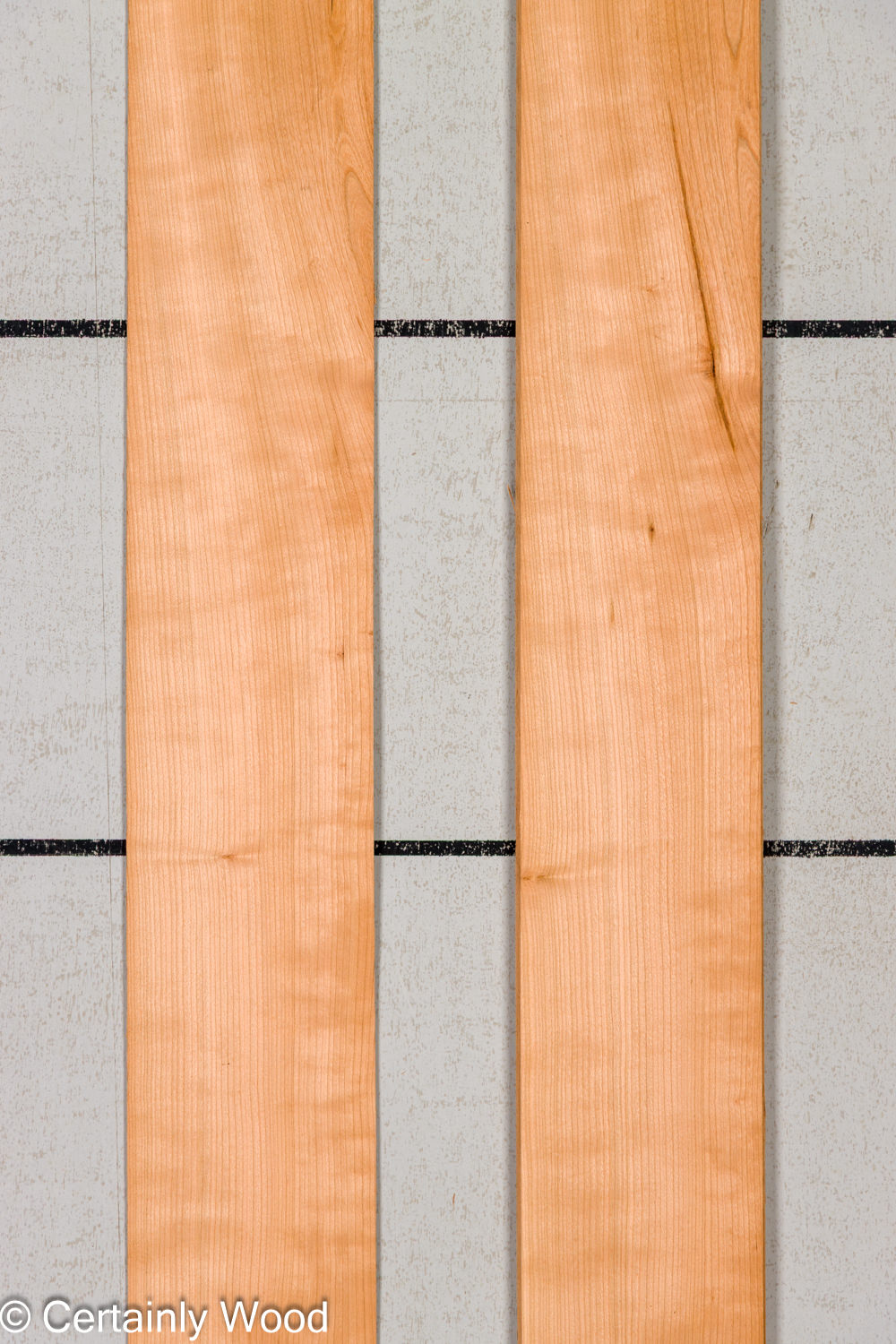 Featured Product Image
