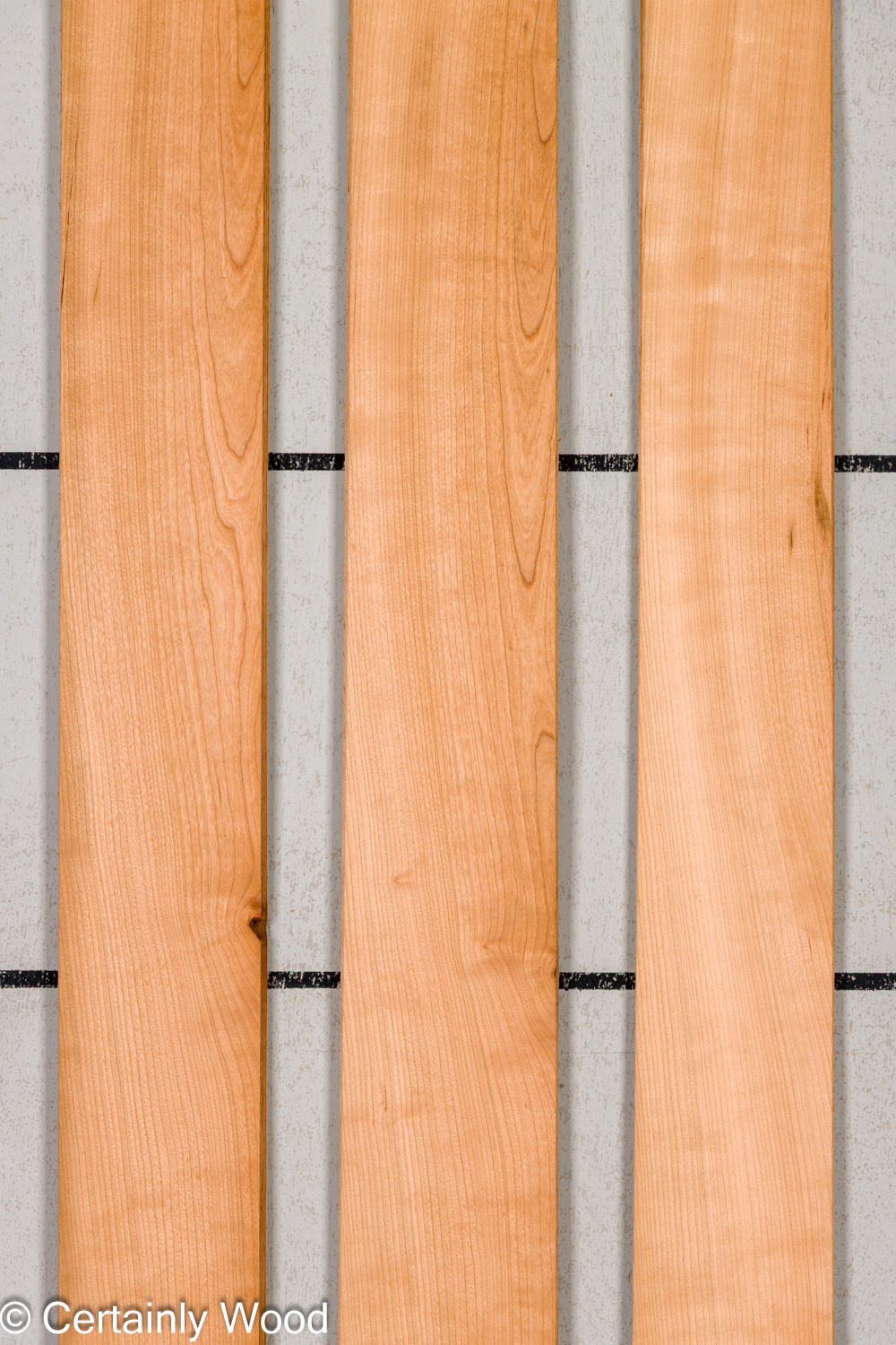 Featured Product Image