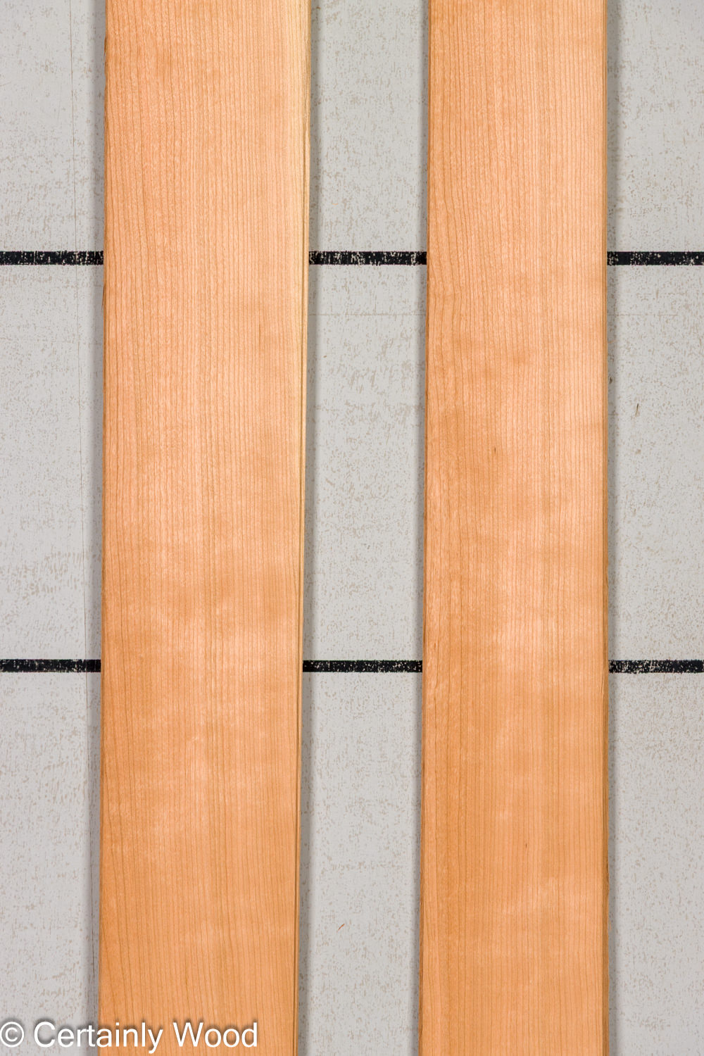 Featured Product Image