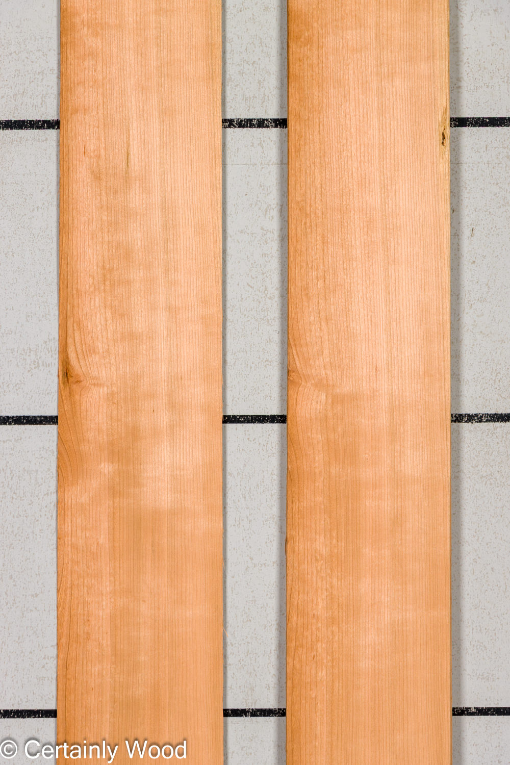 Featured Product Image