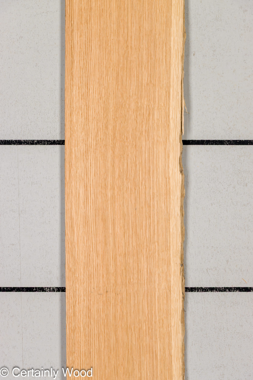 Featured Product Image
