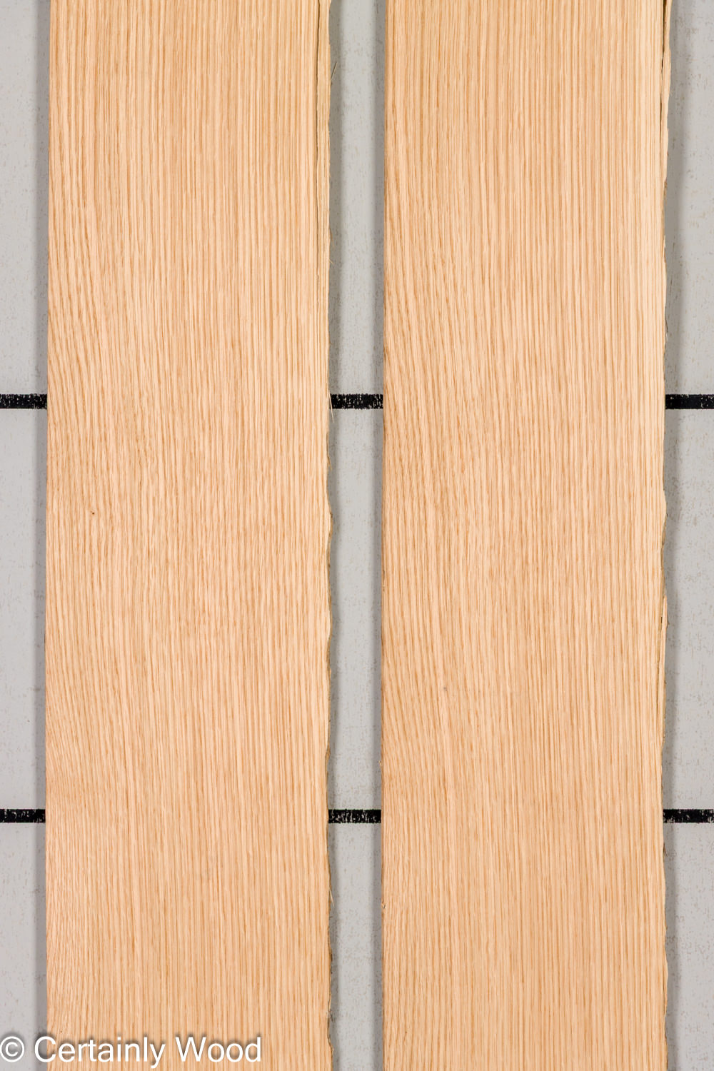 Featured Product Image