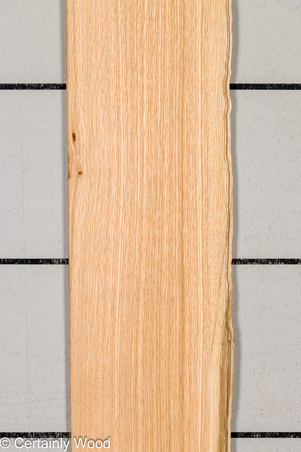 Featured Product Image