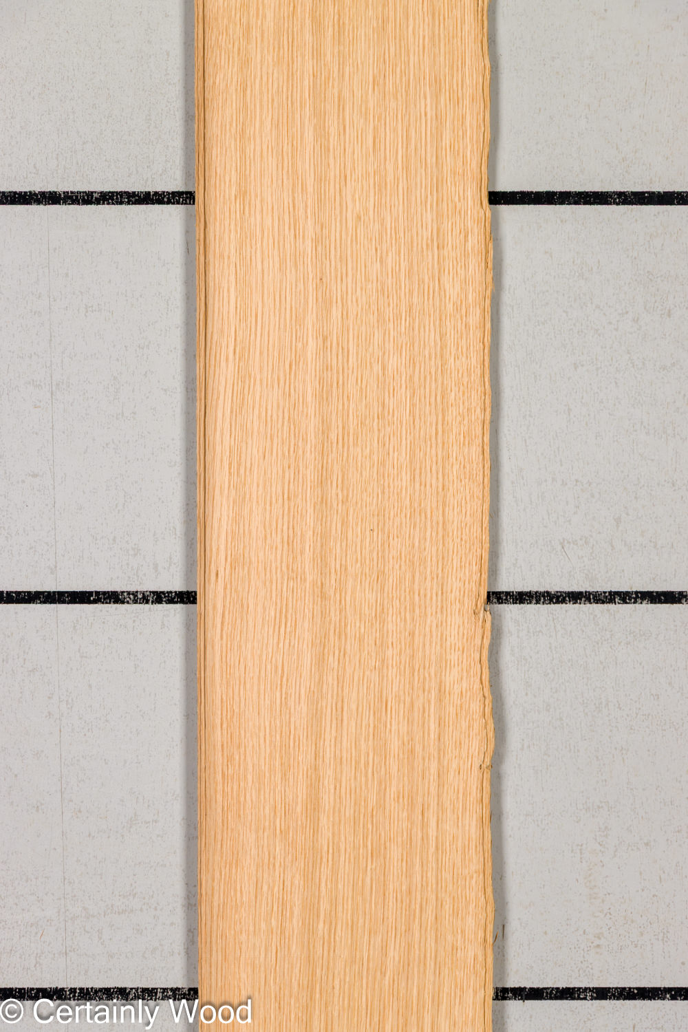 Featured Product Image