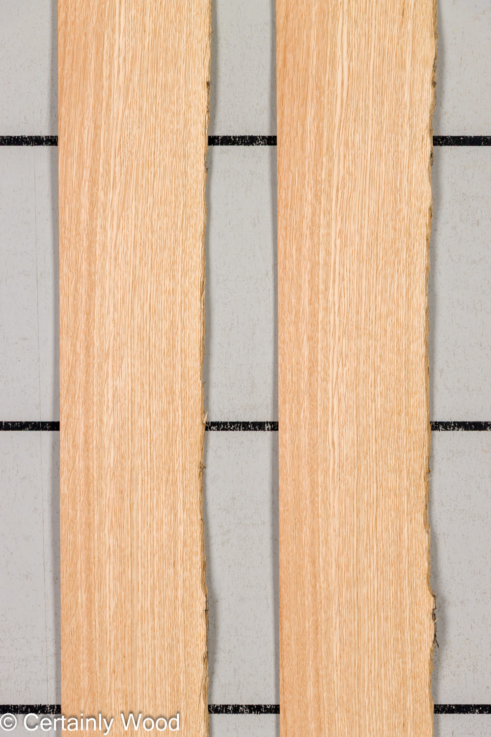 Featured Product Image