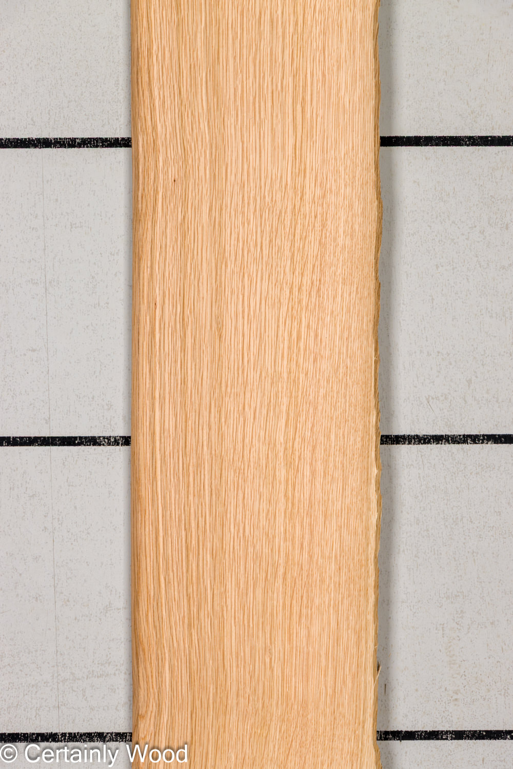 Featured Product Image