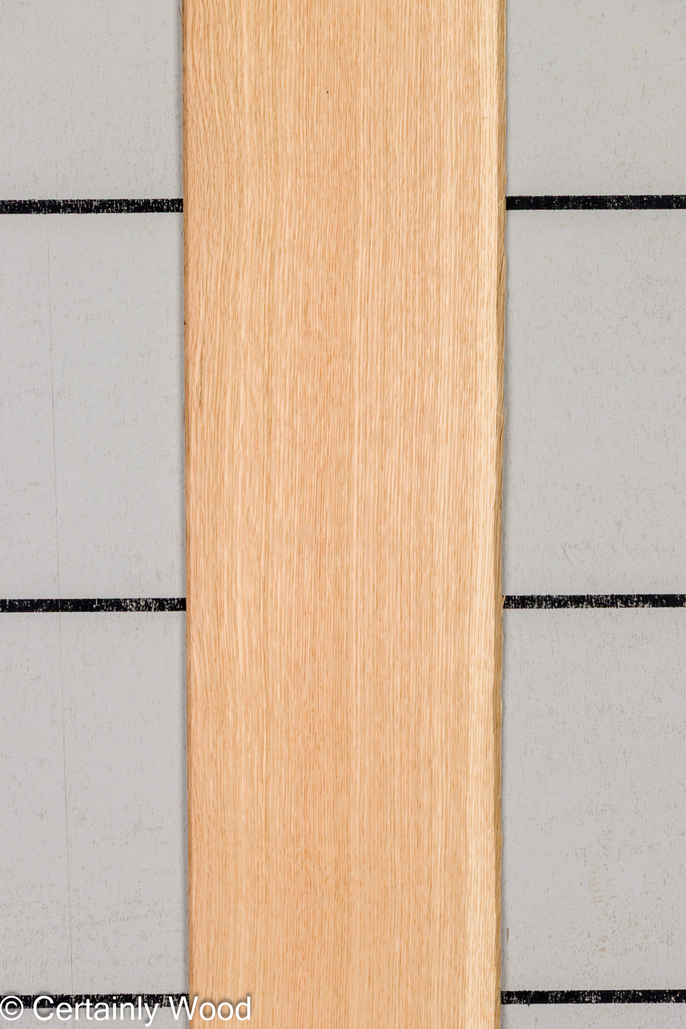 Featured Product Image