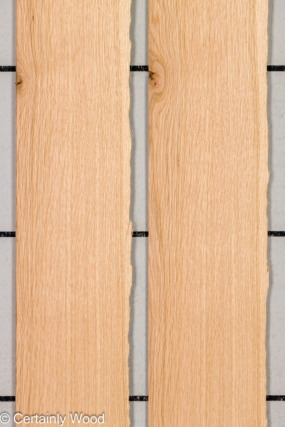 Featured Product Image