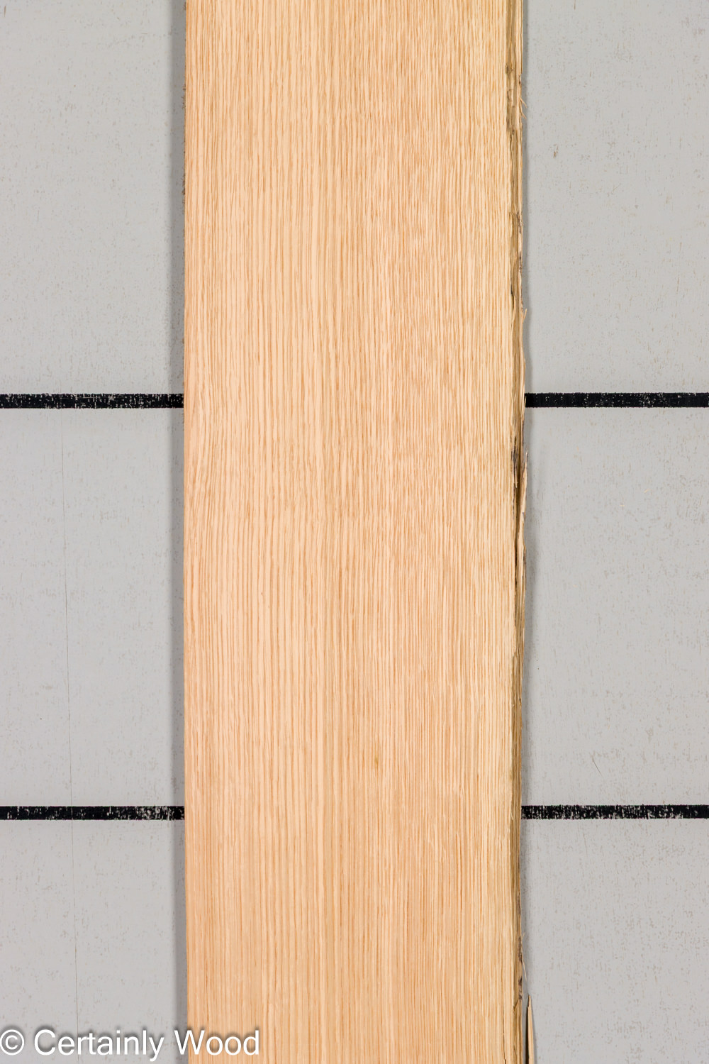 Featured Product Image