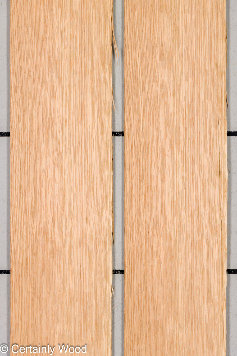 Featured Product Image