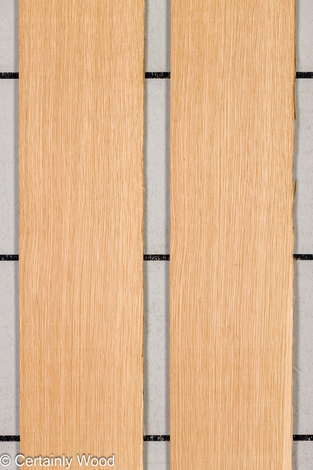 Featured Product Image