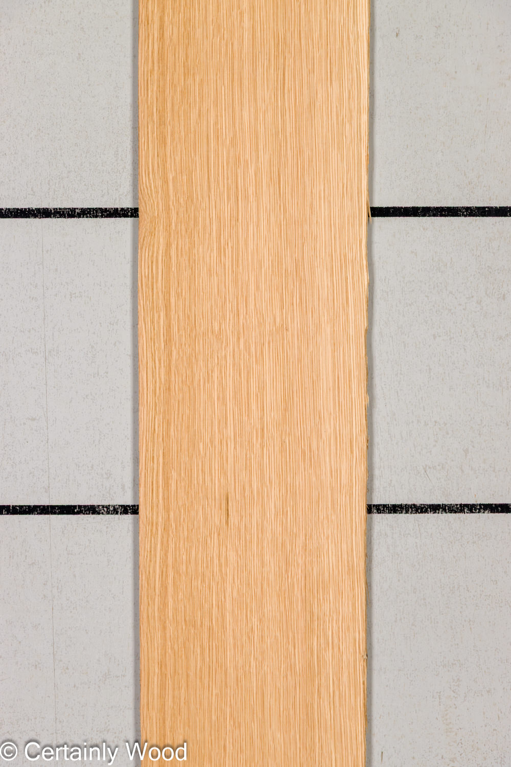 Featured Product Image