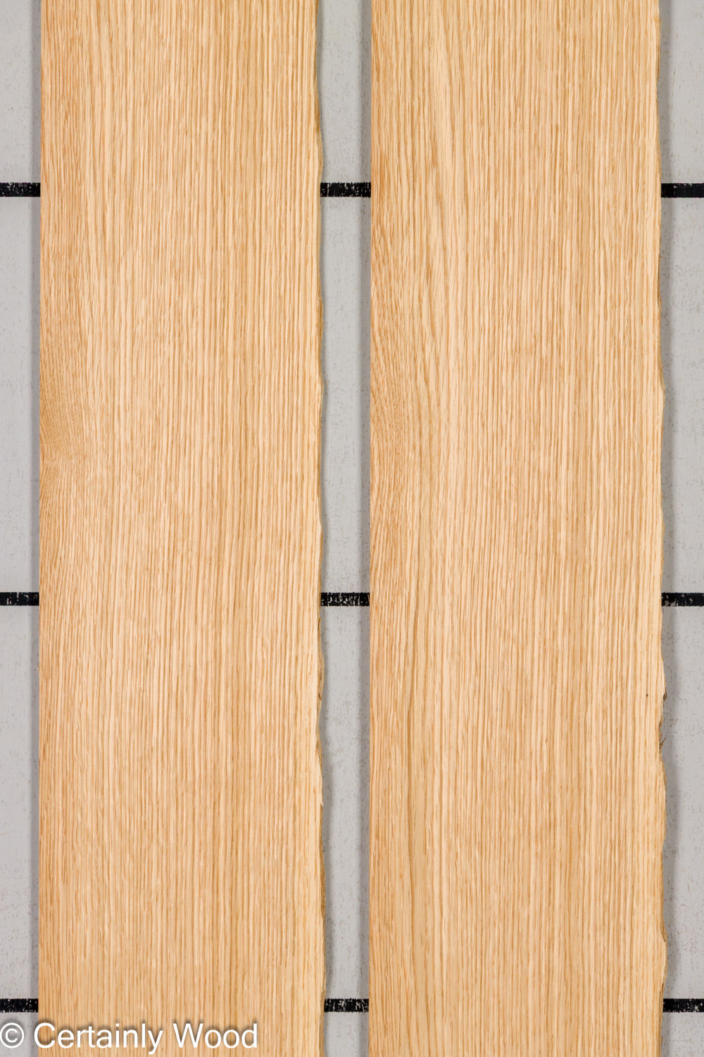 Featured Product Image