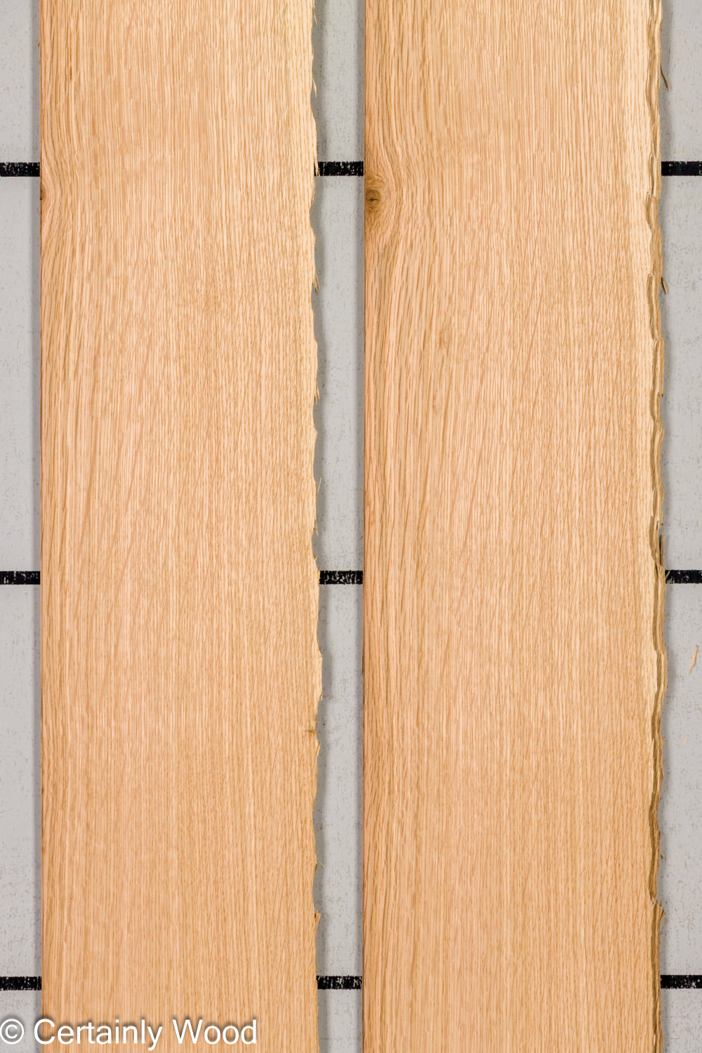 Featured Product Image