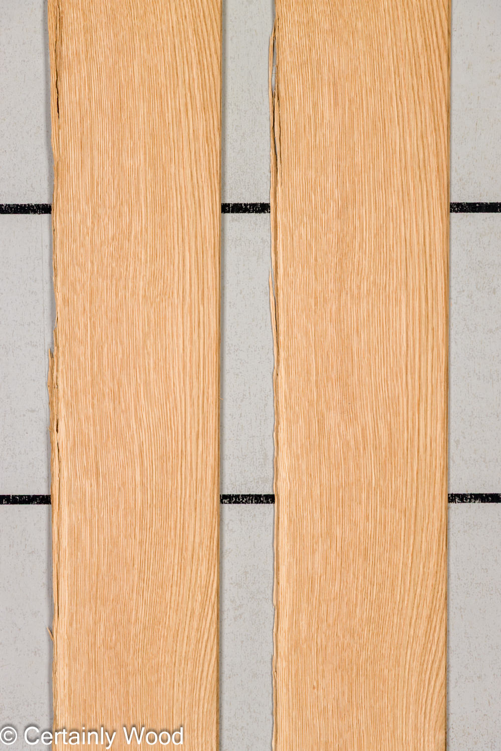 Featured Product Image