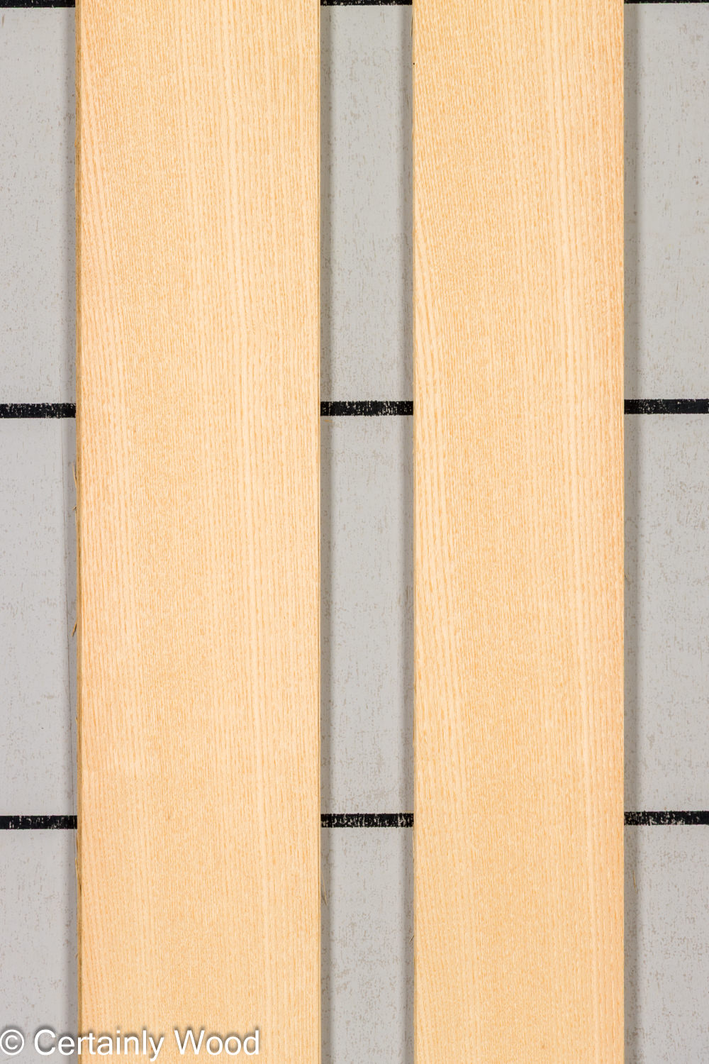 Featured Product Image