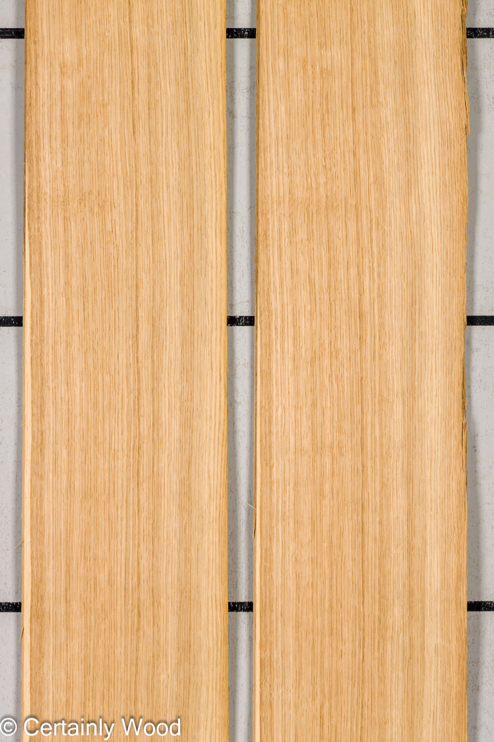 Featured Product Image