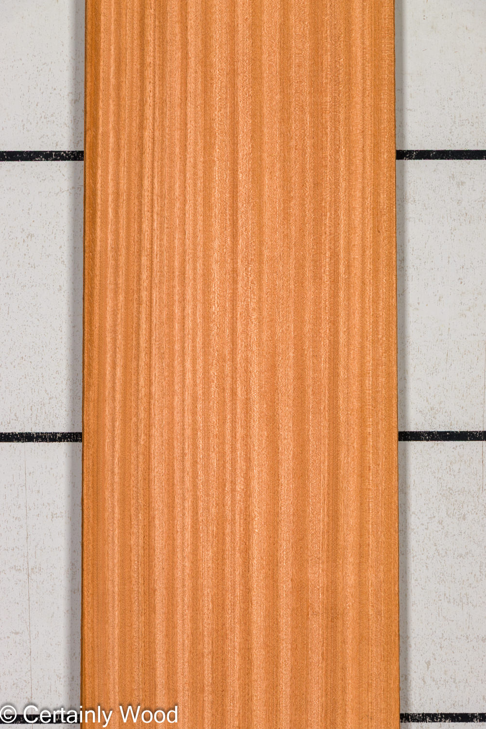 Featured Product Image