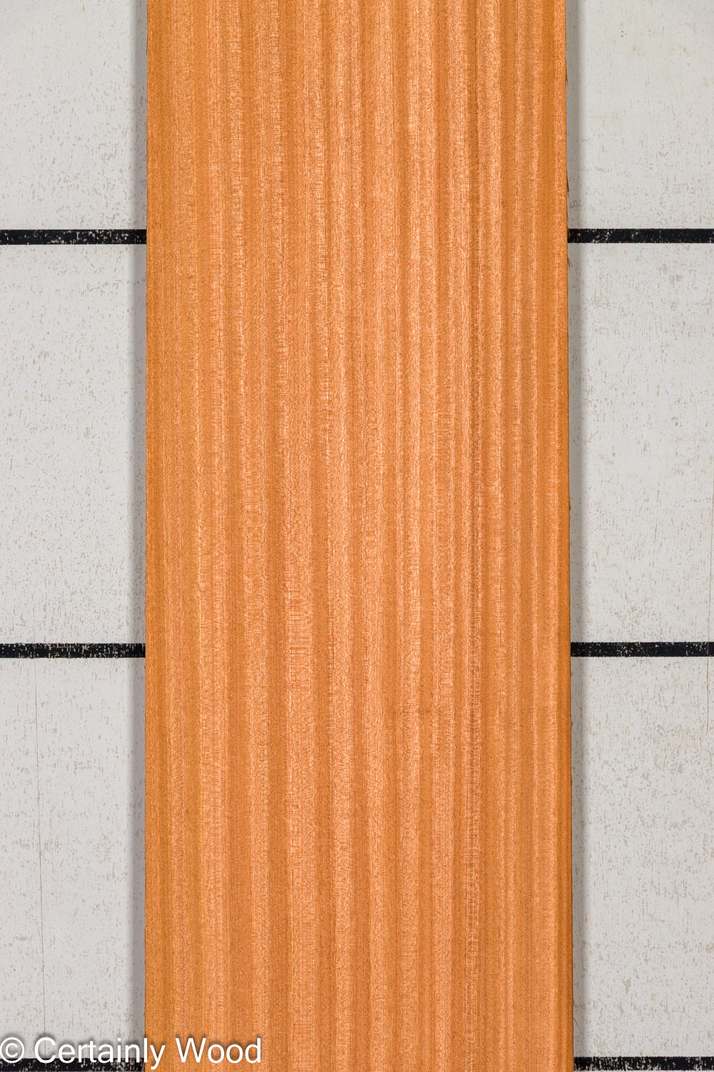 Featured Product Image