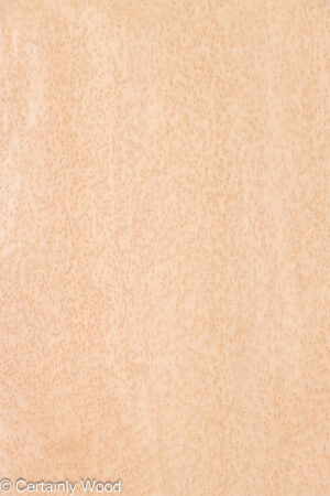 BE MAPLE 26338-1