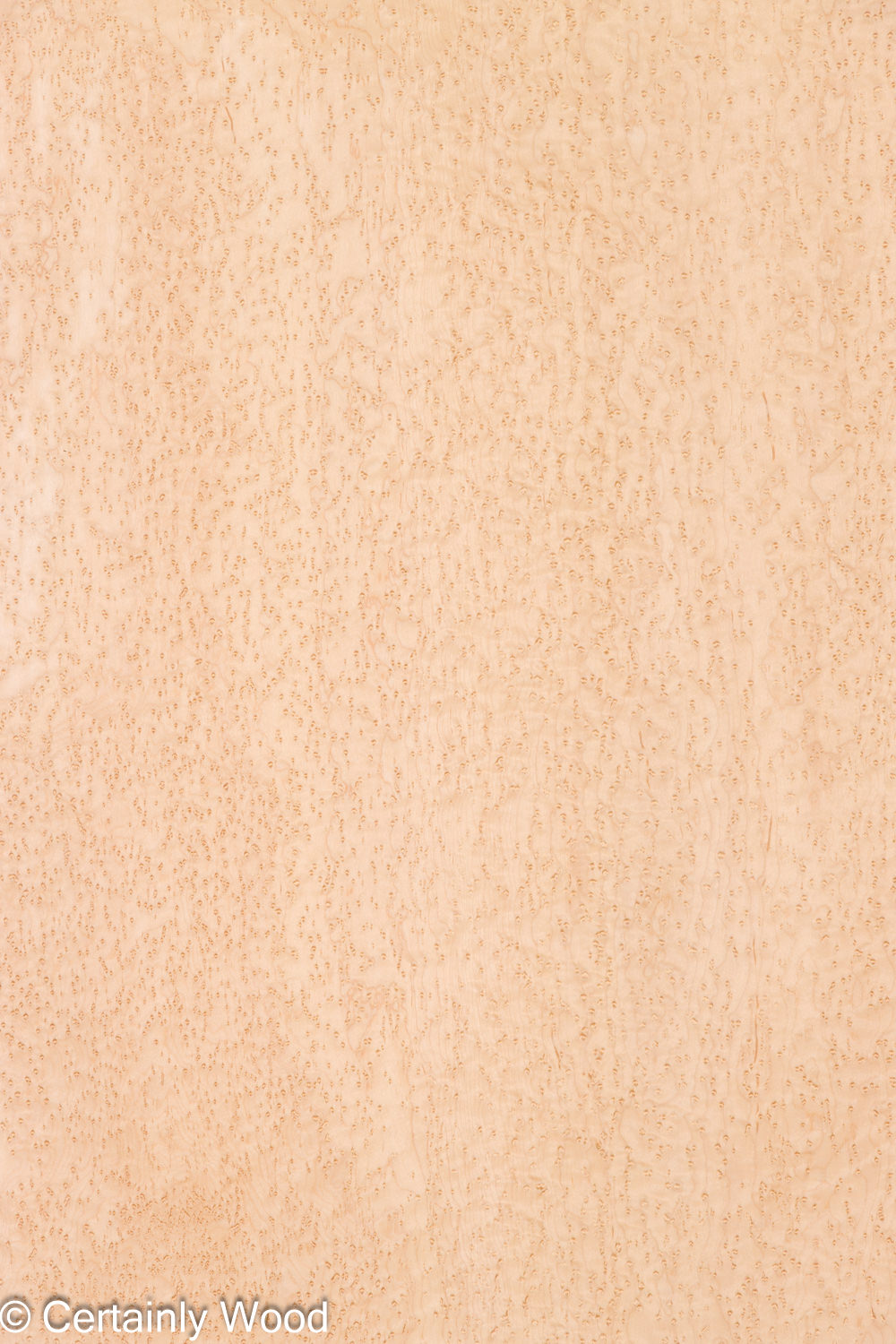 Featured Product Image