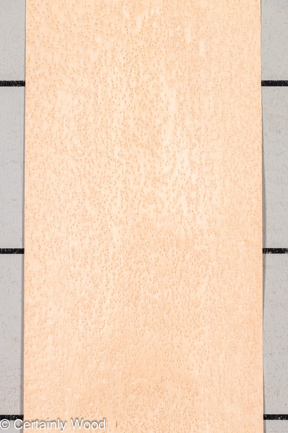 Featured Product Image