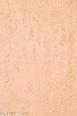 BE MAPLE 26339-1